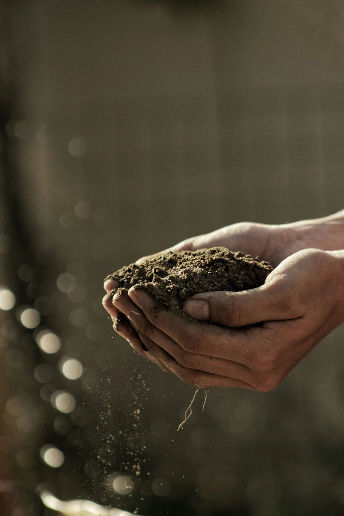 Tuin met een bodem die ondersteuning nodig heeft
